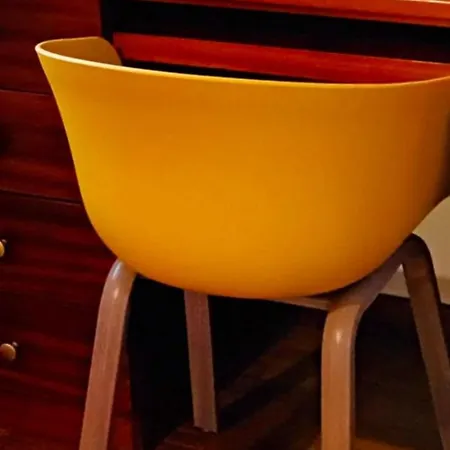 Amarelaje Serra d'El-Rei